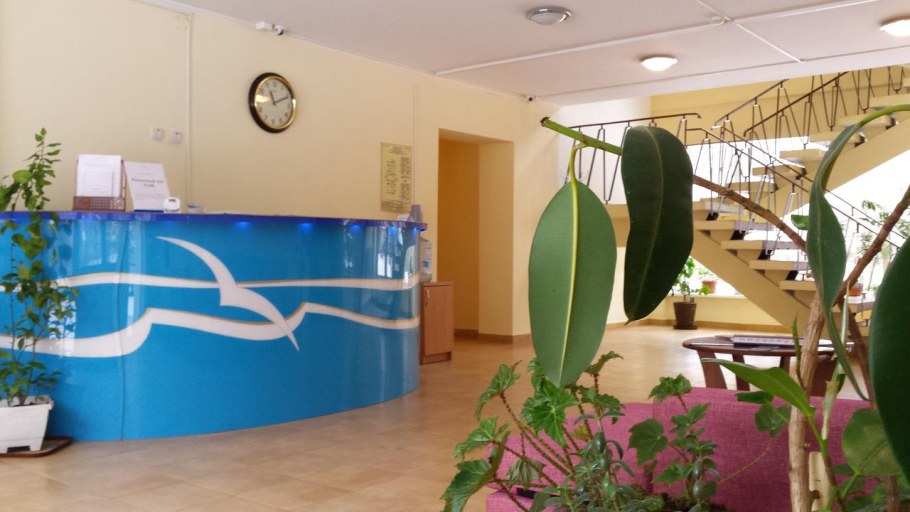 Гостиница Чайка Светлогорск