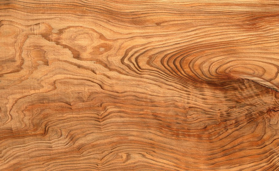 Карагач фактура древесины