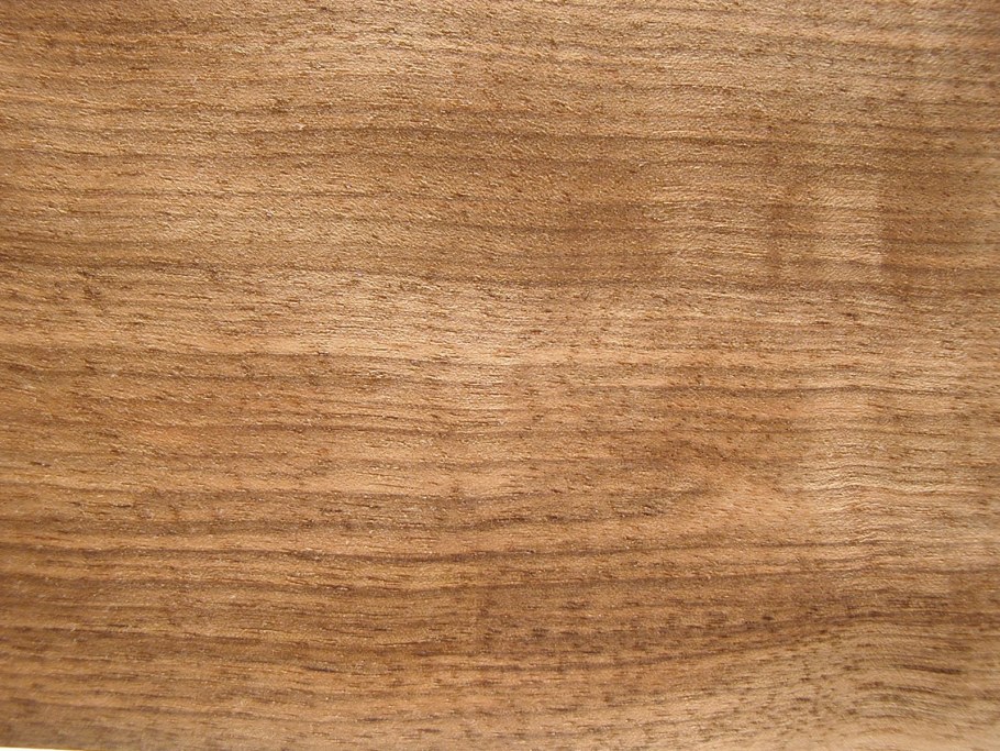 Вудсток орех грецкий