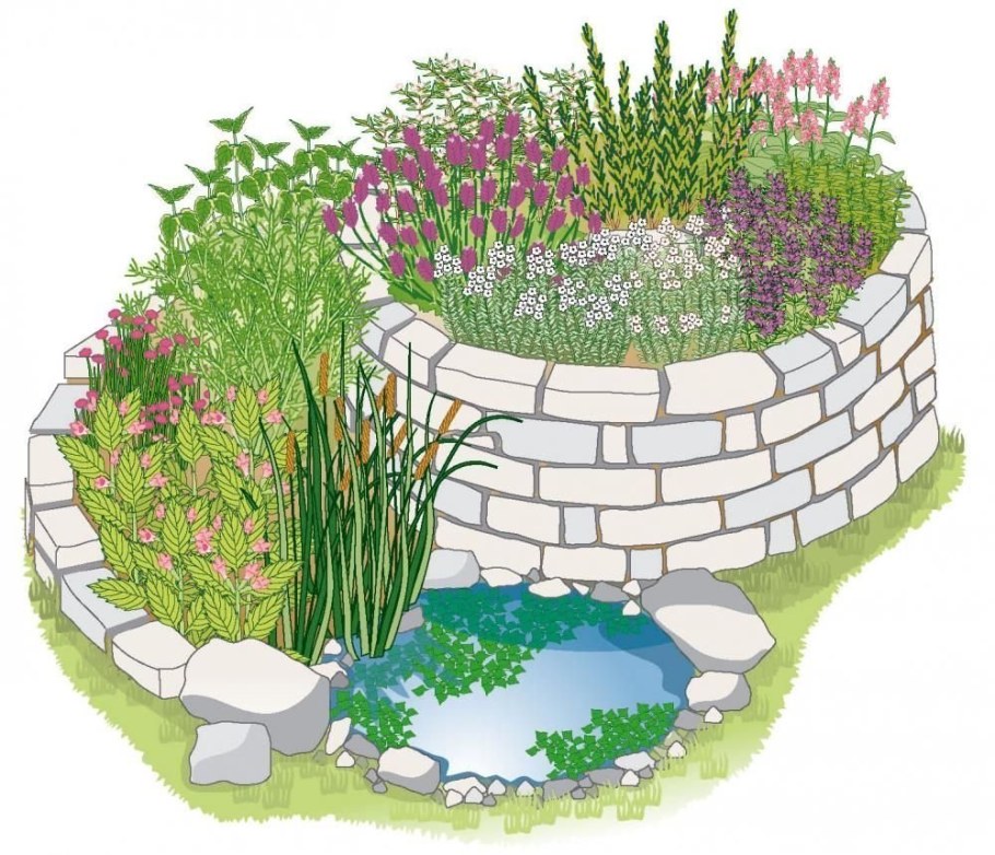 Клумба рисунок