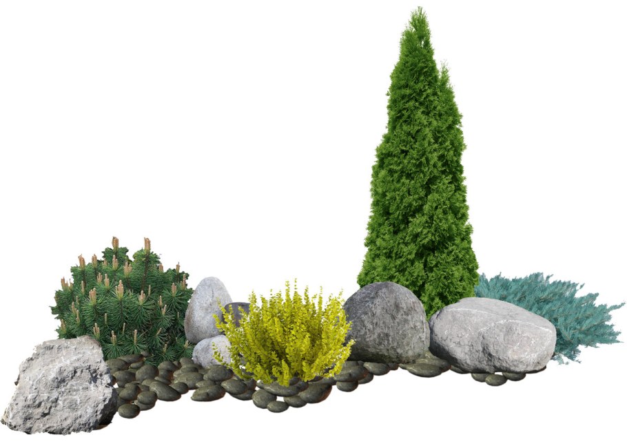 Рокарий с туей Смарагд