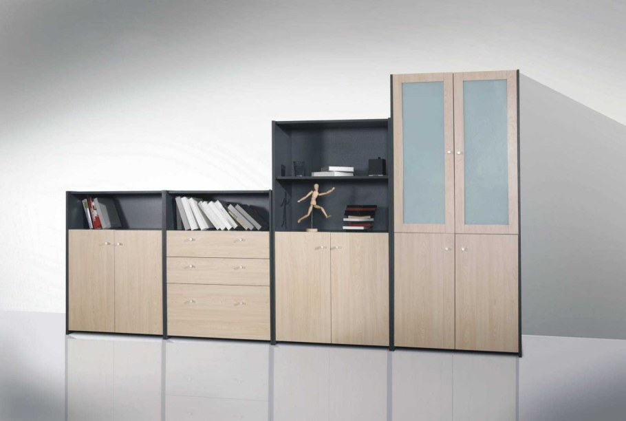 Стильный офисный шкаф