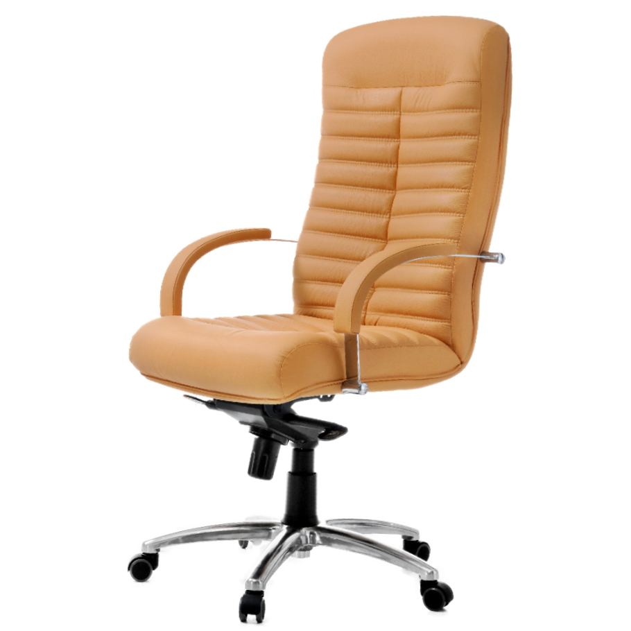 Кресло для руководителя Orion кресло для руководителя Orion