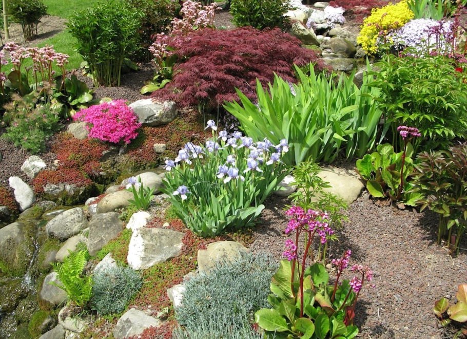 Миксбордер Каменистый сад
