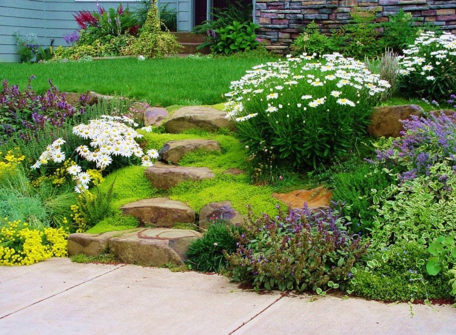 Альпийская горка миксбордер