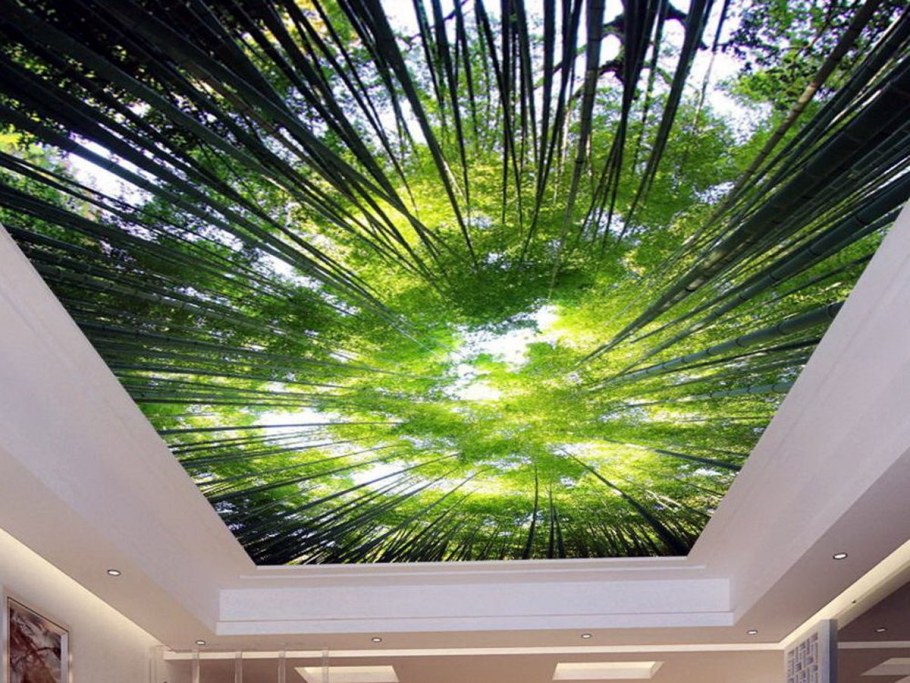 Фотопечать на потолке