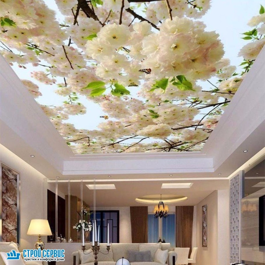 Натяжные потолки с фотопечатью