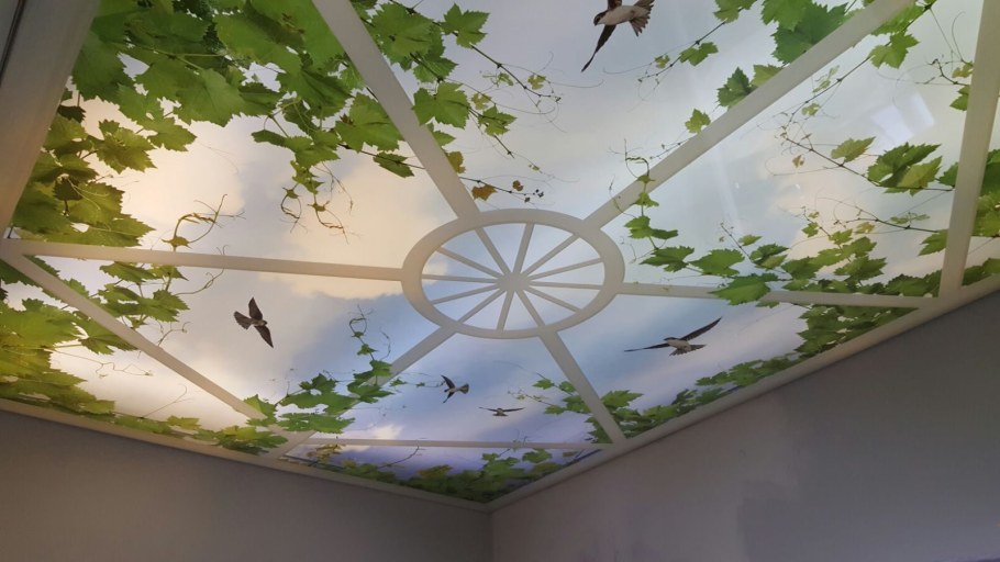 Листья на потолке