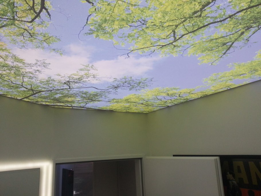 Натяжные потолки с листьями