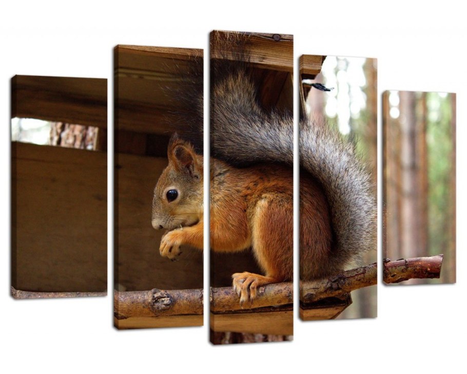 Холст Белочка