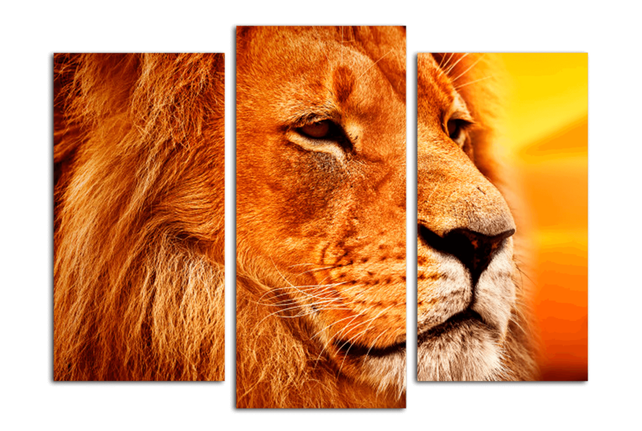 Триптих львы