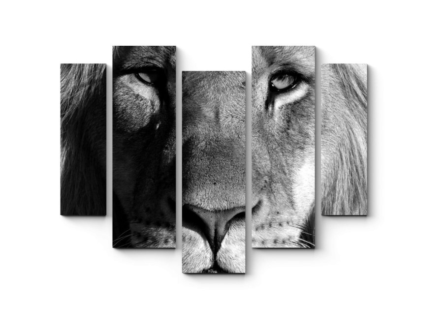 Модульные картины с животными