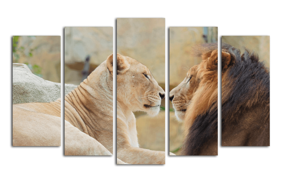 Лев картина из нескольких частей