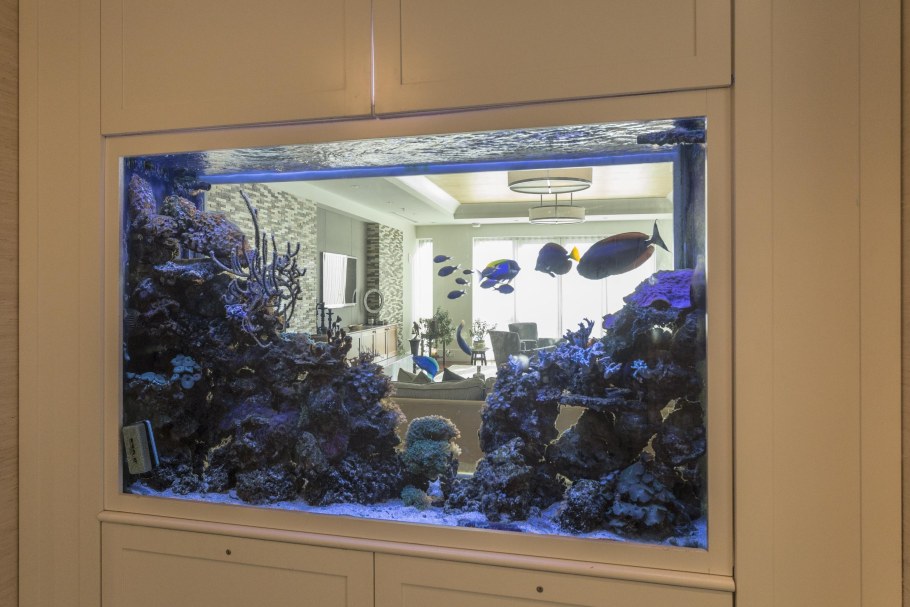 Аквариум проем снизу