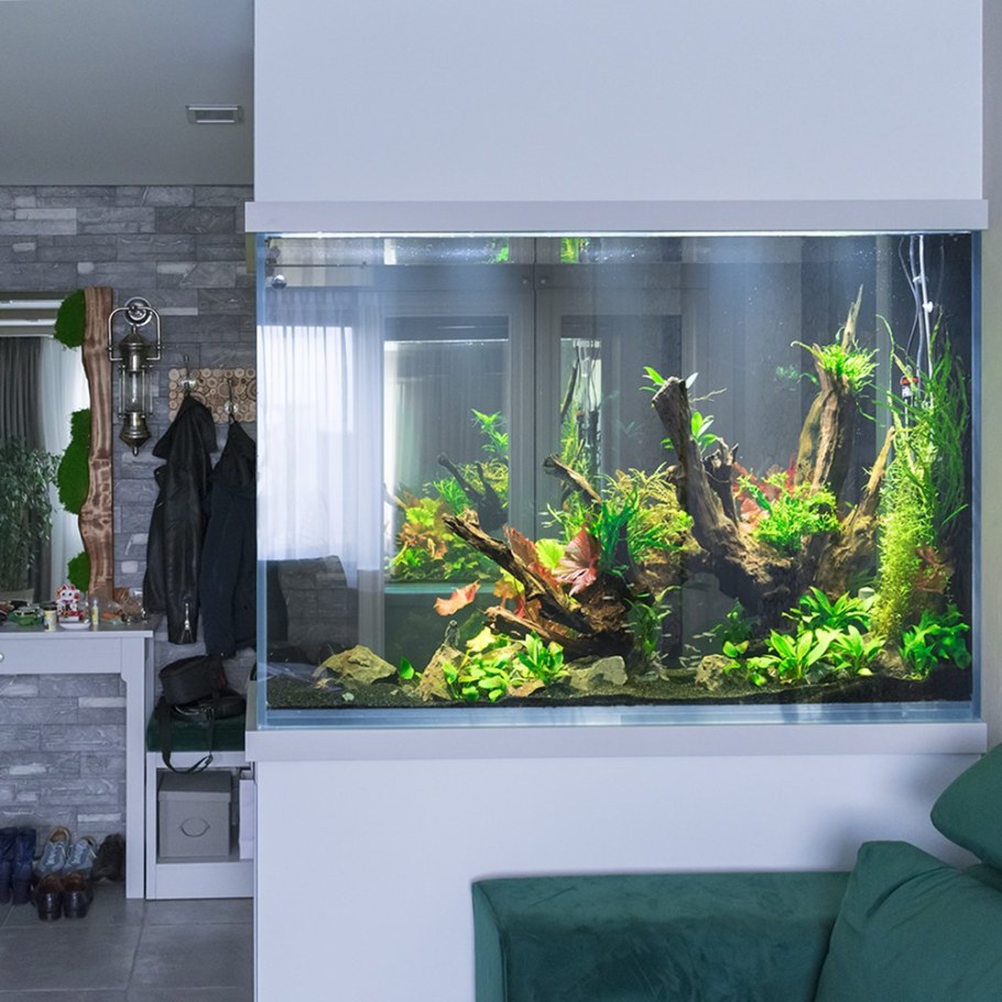 Аквариум перегородка