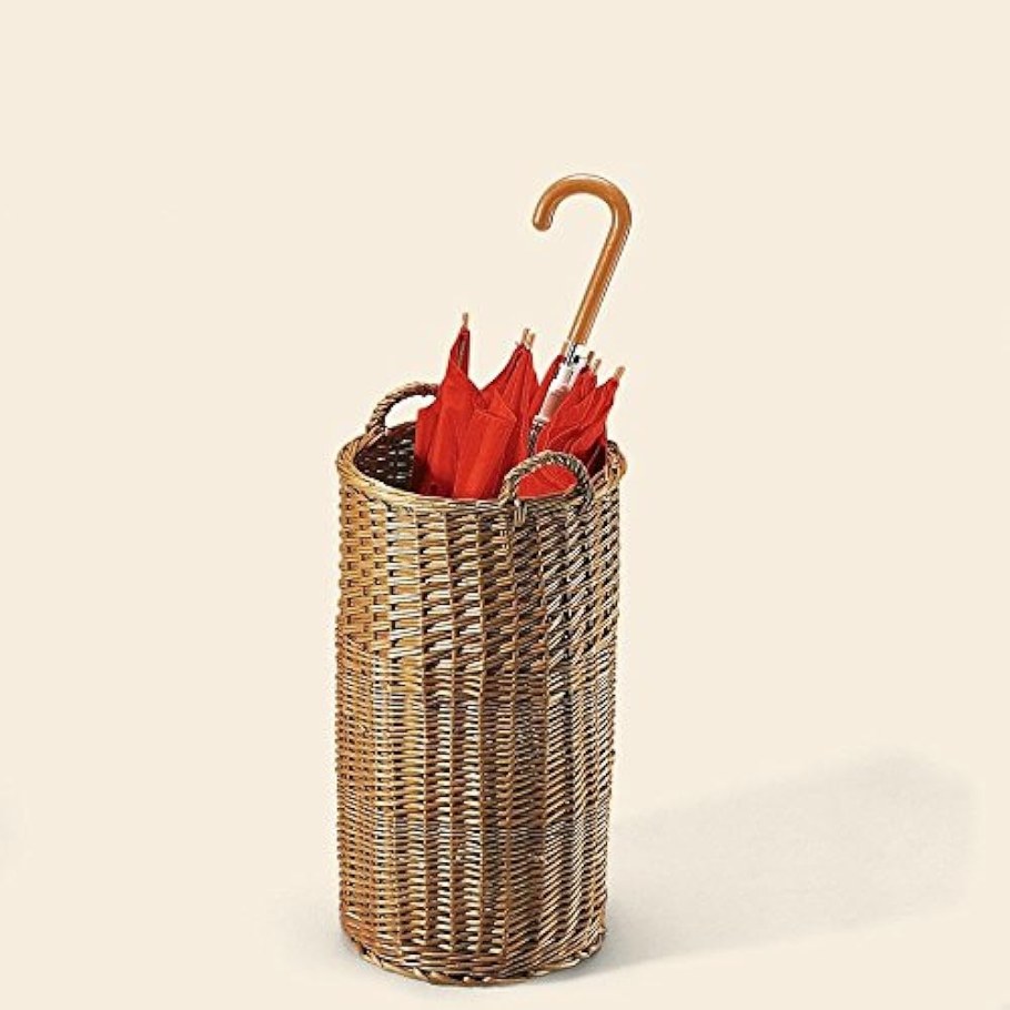 Зонтичница Боккаччо зонтичница