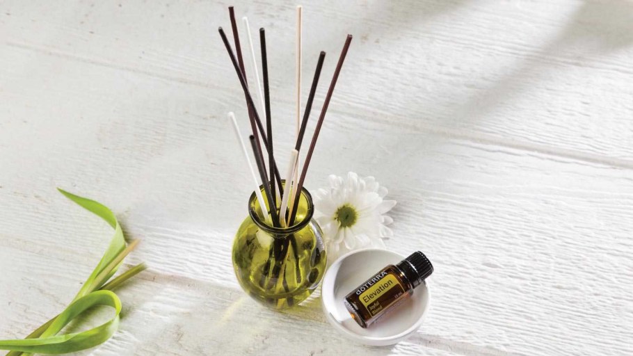 Reed Diffuser (тростниковый диффузор)