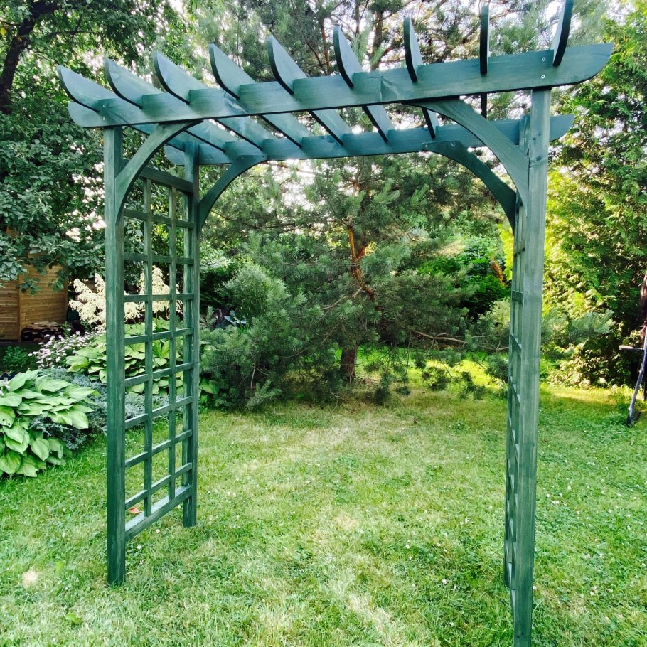 Амарант арка Садовая