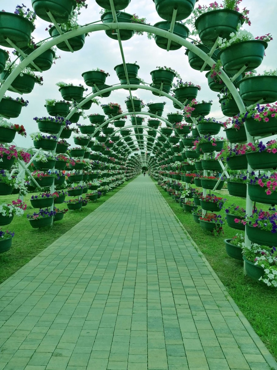 Аллея роз Казань