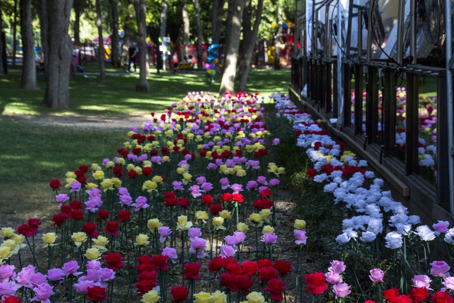 Парк аллея роз Ростов