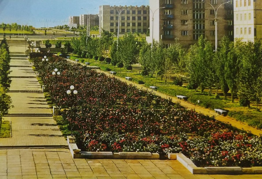 Аллея роз Ростов на Дону