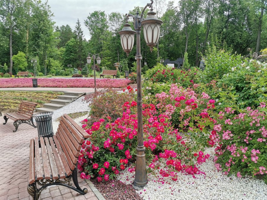 Выкса парк Дендрарий