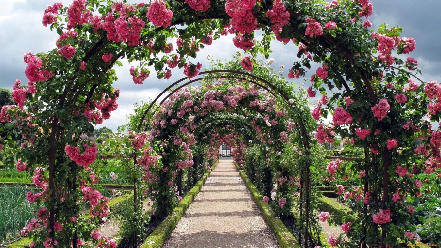 Арка в саду