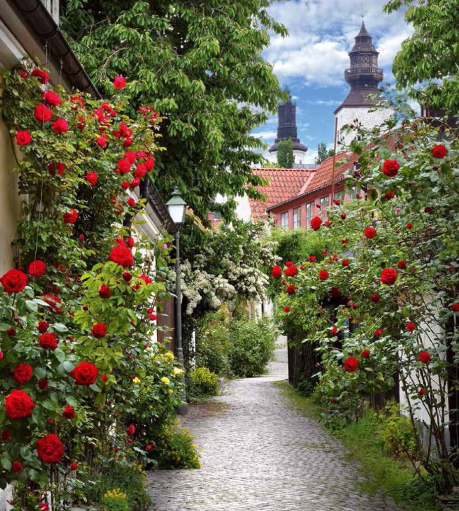 Цветущие улочки Европы