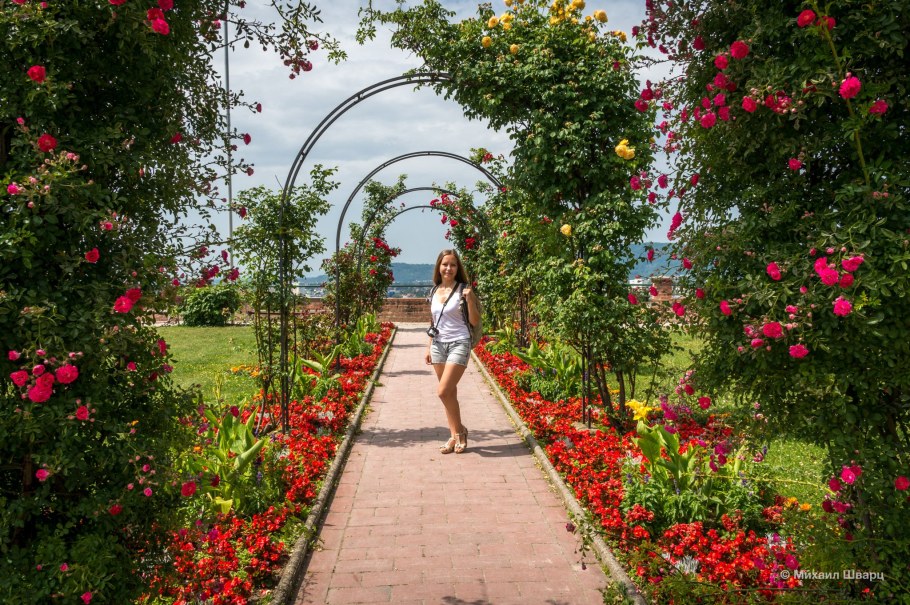 Сквер аллея роз Анапа