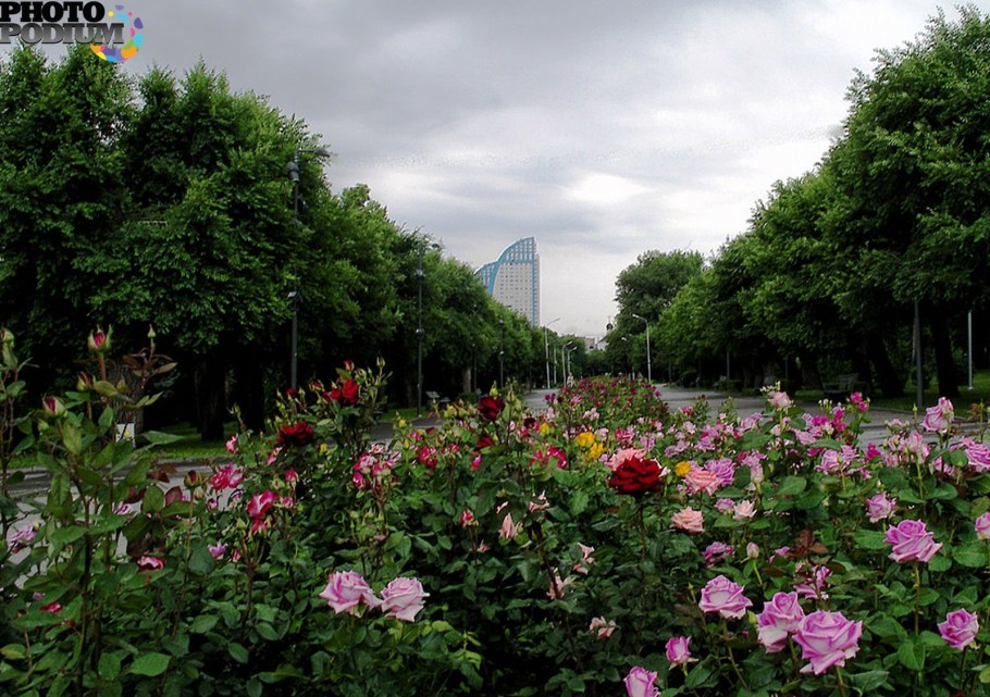 Ростов-на-Дону парк Алероз