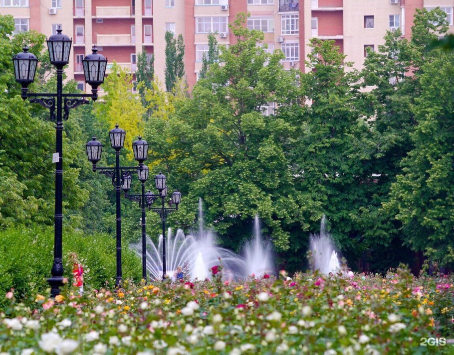 Парк аллея роз Ростов