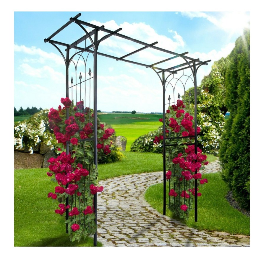 Пергола для розы плетистой