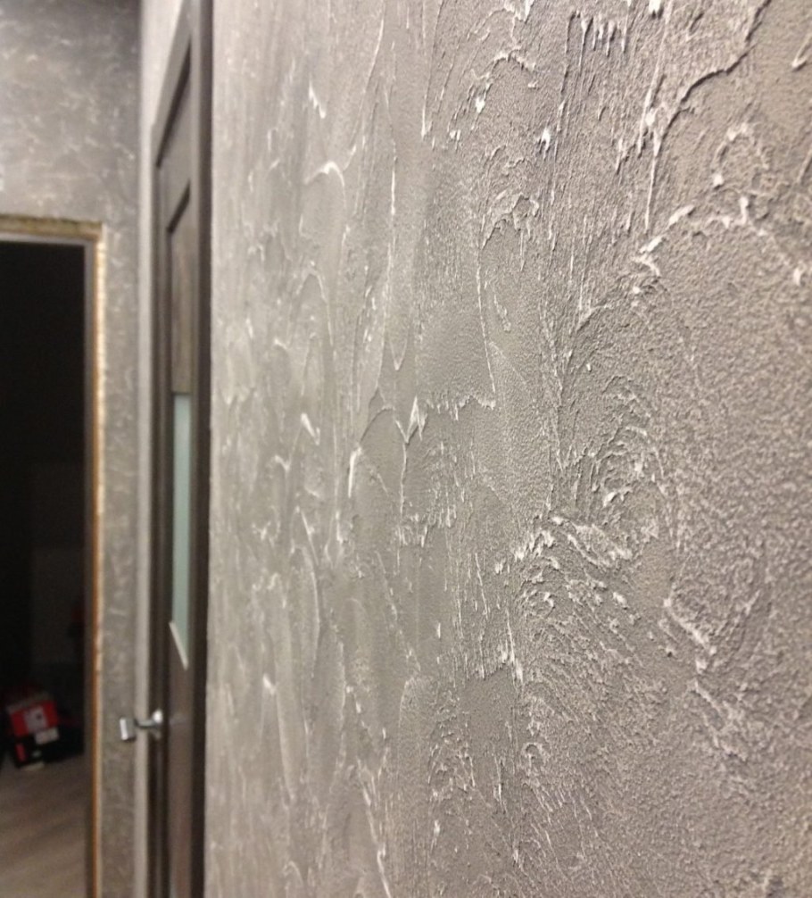 Короед венецианка