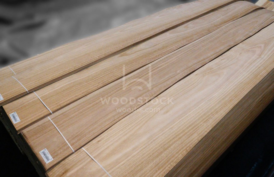 Вудсток эвкалипт шпон