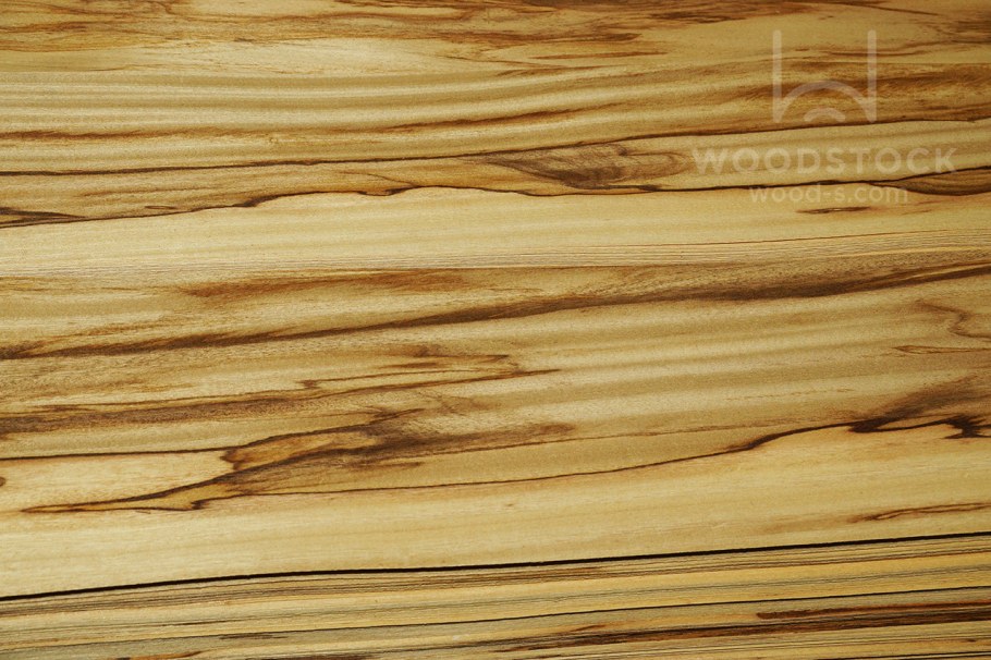 Шпон олива Вудсток