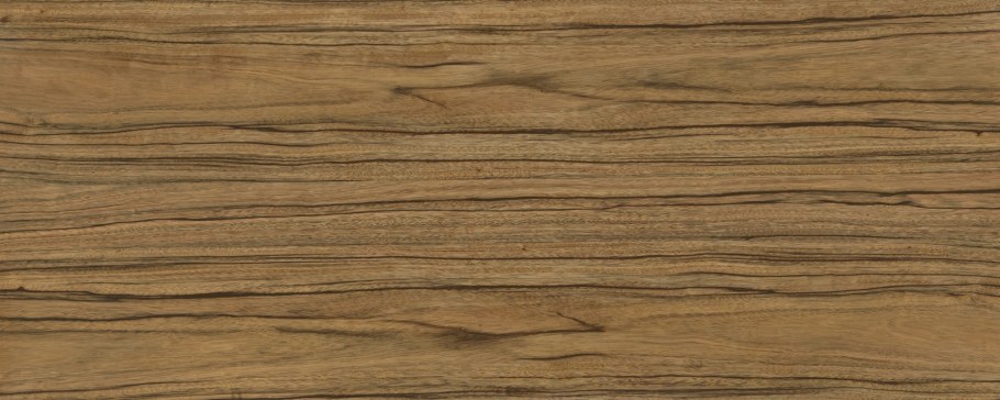 Орех Палдао Томлесдрев