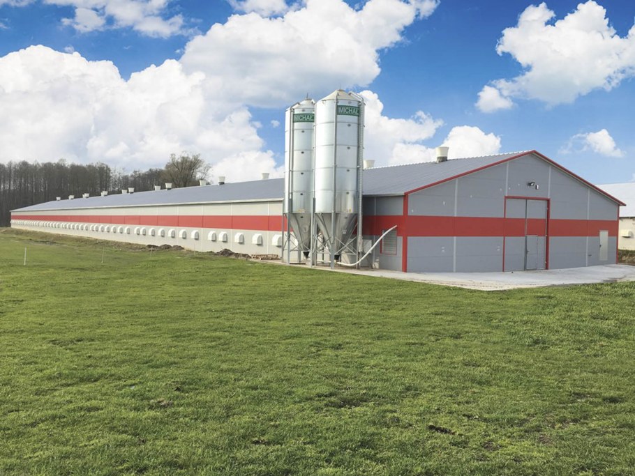 Одноэтажные сельскохозяйственные здания в Магнитогорске