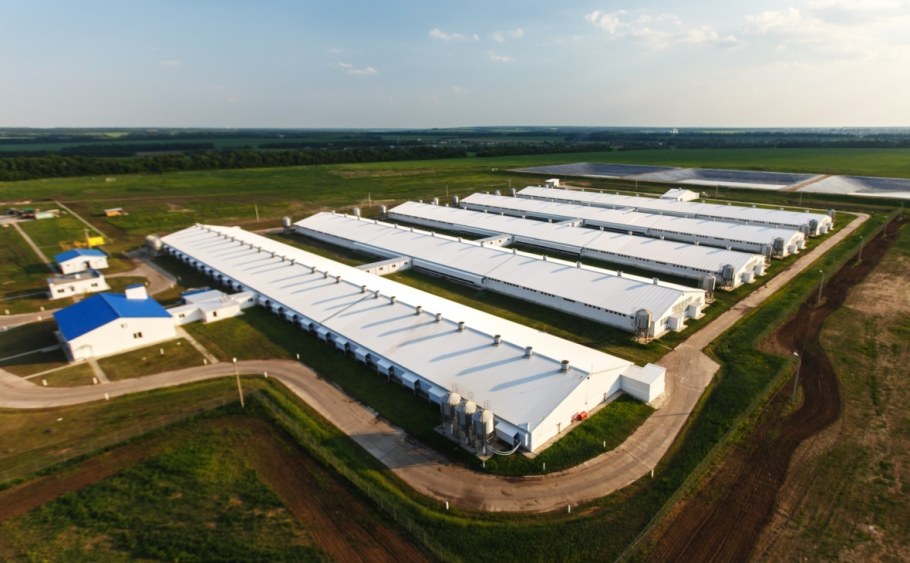 Свинокомплекс АГРОЭКО Воронеж