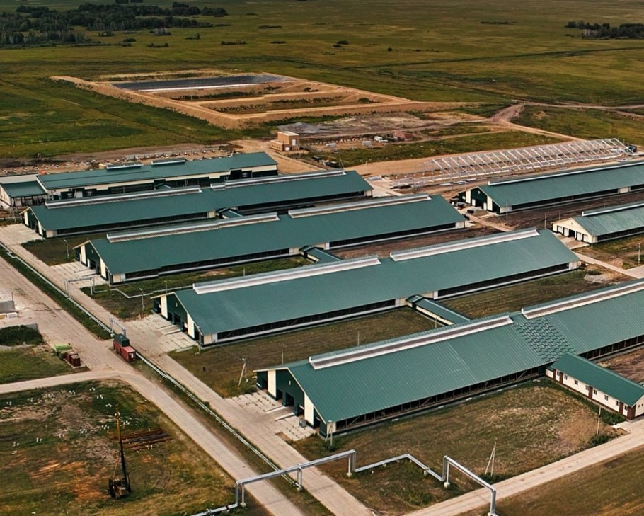 ООО КФХ русское поле Каргатский район