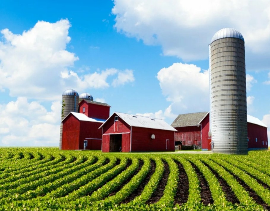 Сельское фермерское хозяйство США