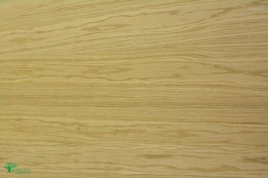 Пленка ПВХ ясень Дальневосточный de3901-38