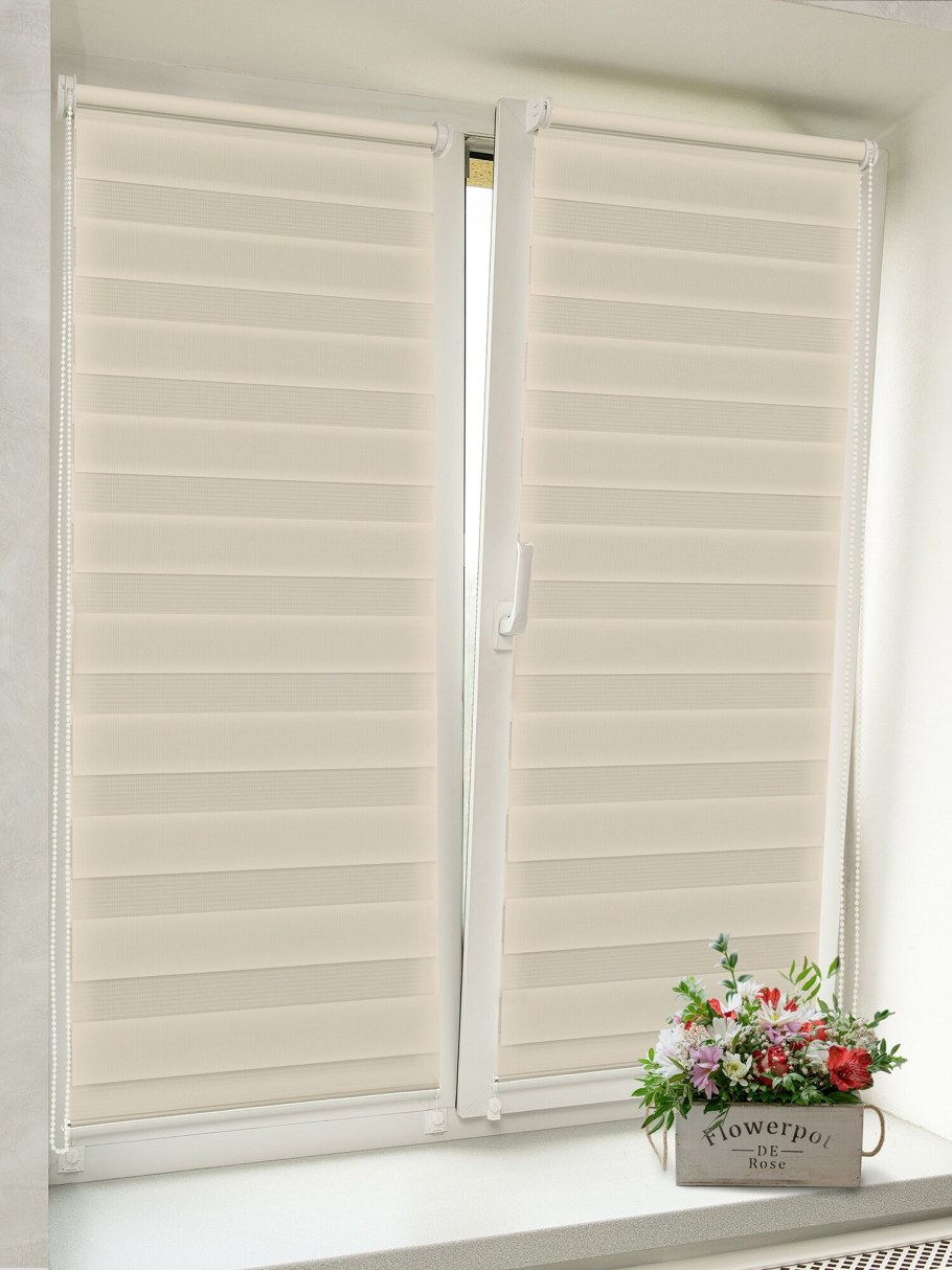 Рулонные шторы день ночь