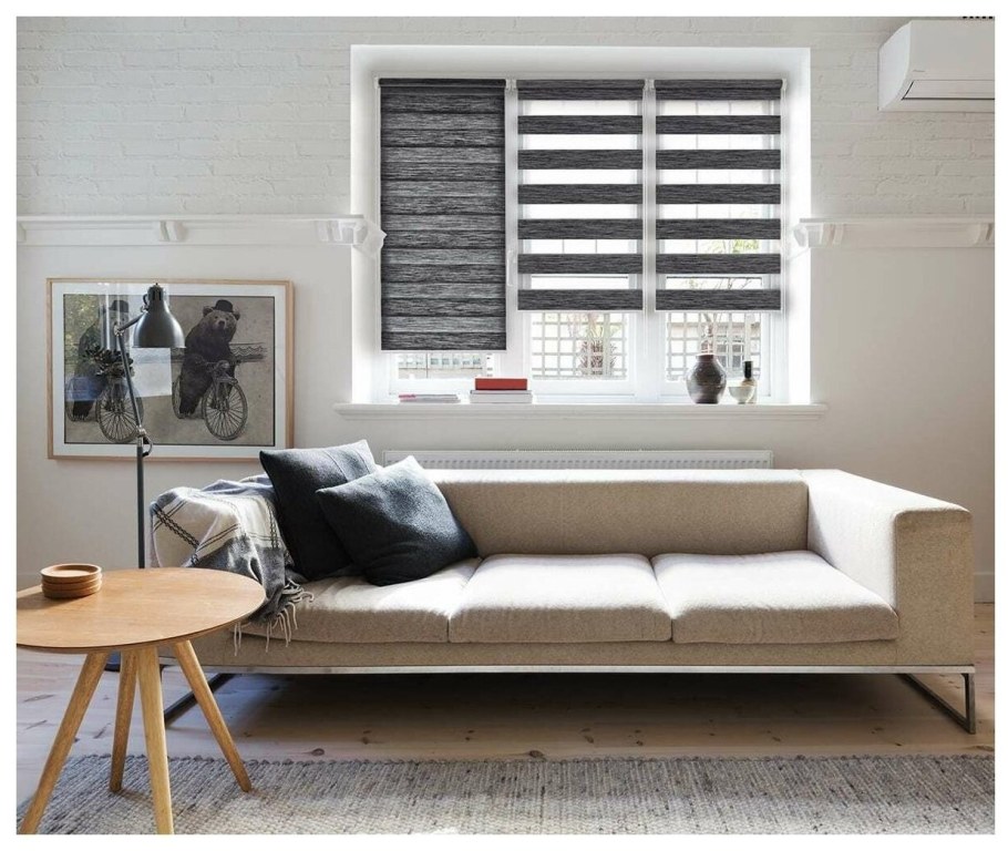 Рулонная штора мини (день-ночь) - 4306 графит