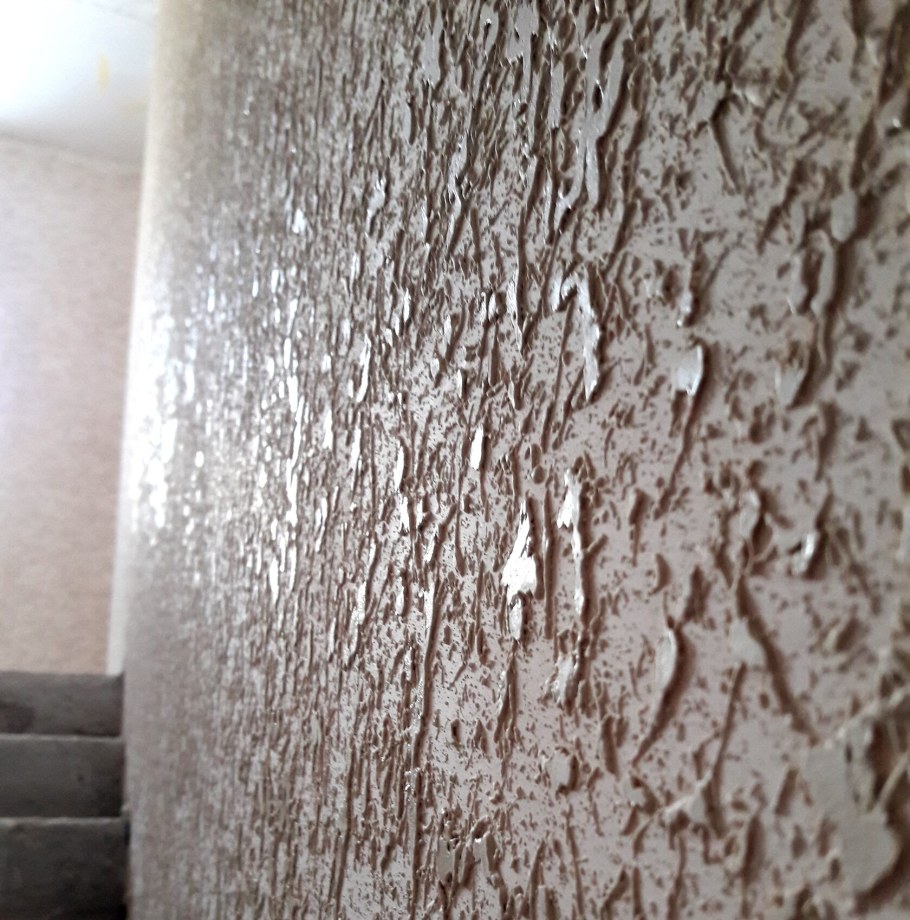 Декоративная штукатурка короед для внутренней отделки стен