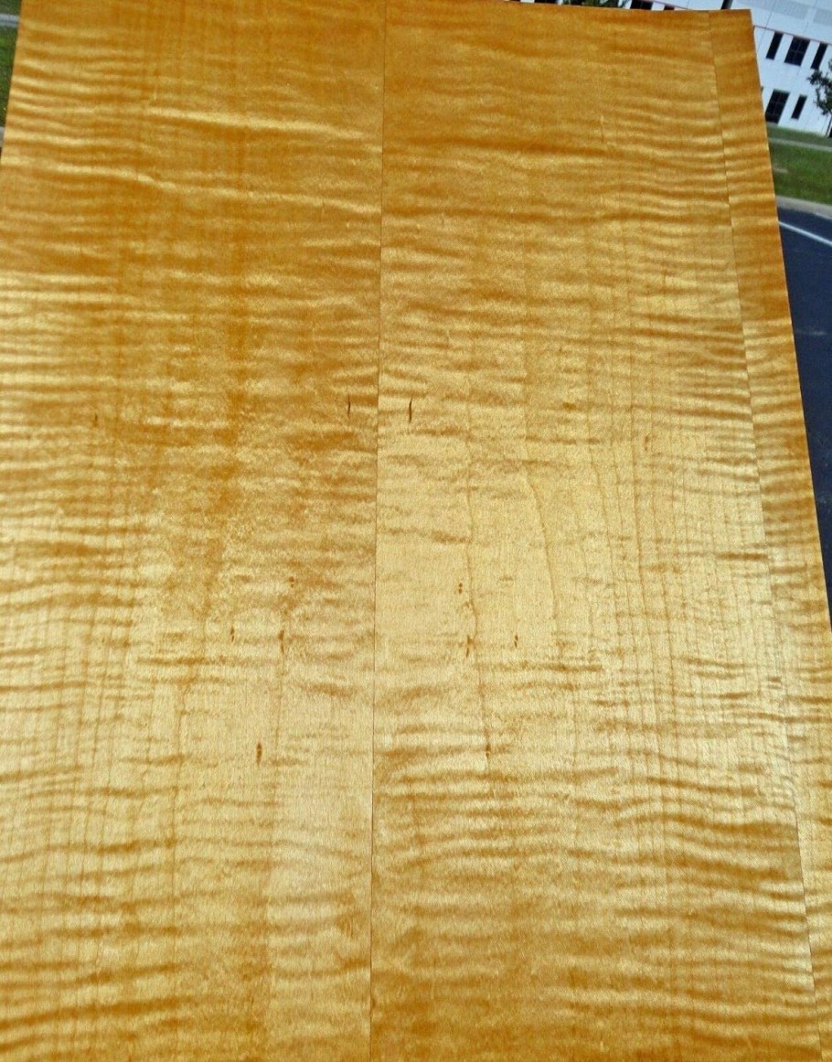 Сикомора дерево шпон