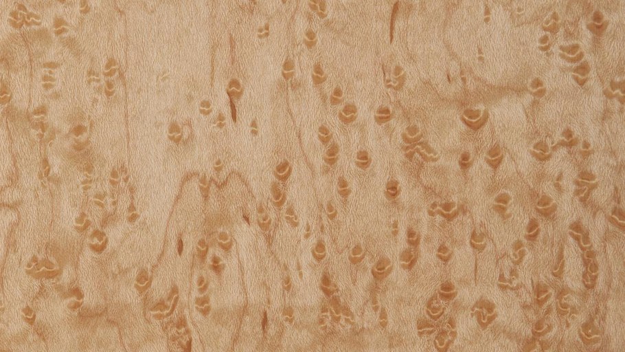 Карельская берёза птичий глаз