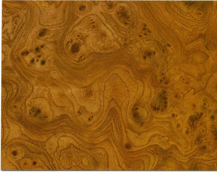 Шпон Капа карельской березы