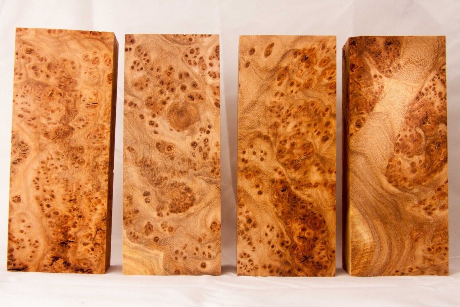 Каповый вяз