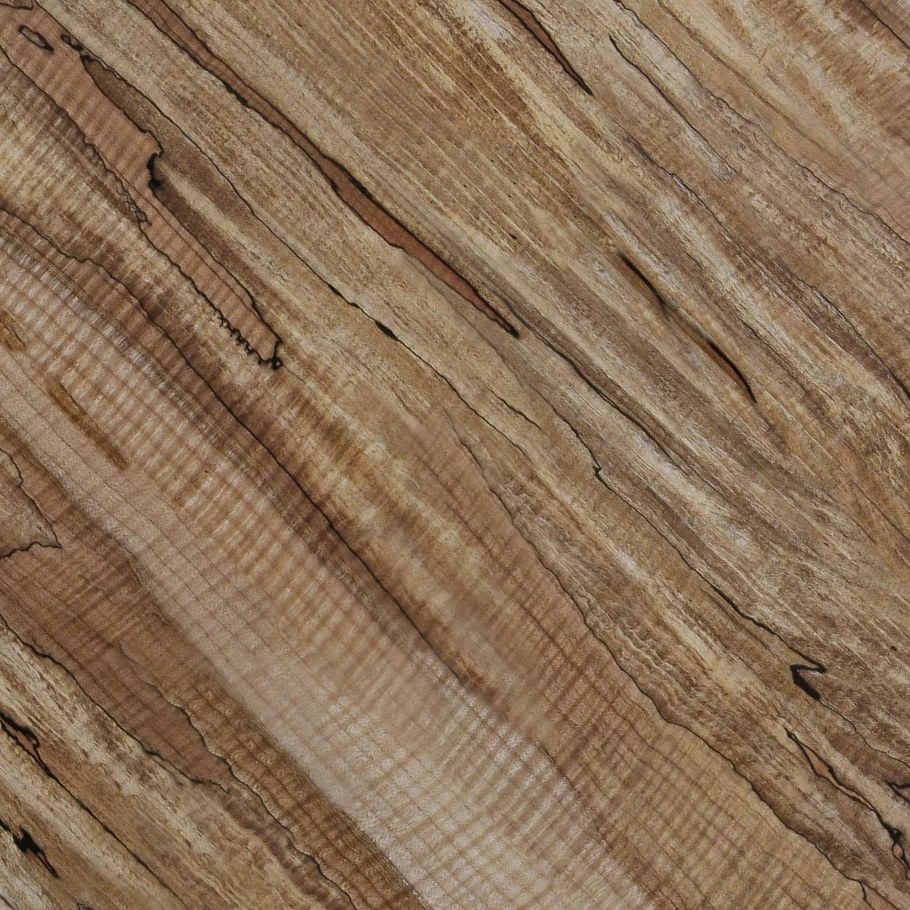 Spalted Maple