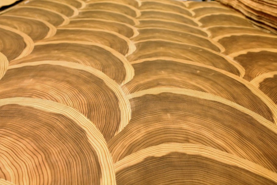 Шпон Фанлайн тангенцальный срез